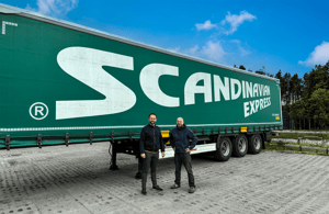 website-scandinavian